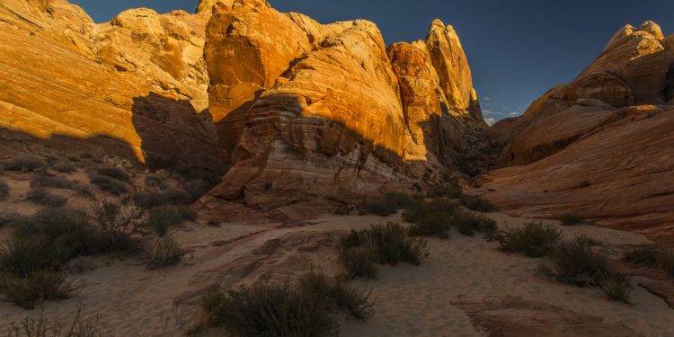 Nevada Citizen Action Group Launches Gofundme Campaign to Fund Red Flag Law Injunction Lawsuit