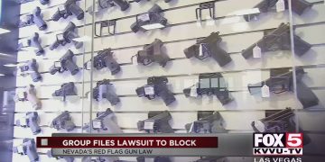 Stop The Unconstitutional Red Flag Law